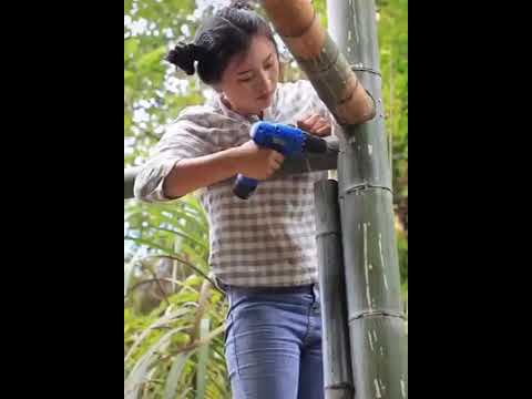 Video: Bangunan Bambu Berupa Vas-vas Cina