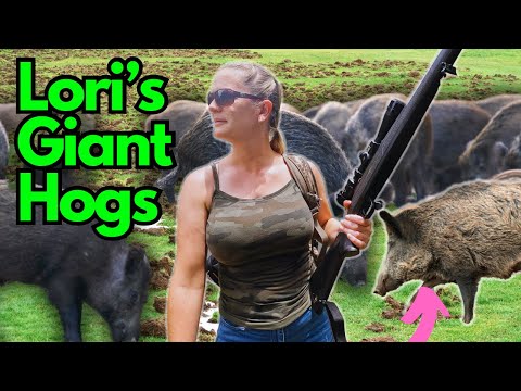 She Goes WILD HOG HUNTING. Biggest Pigs Ever Seen!