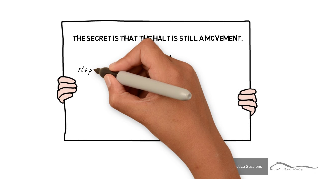 Halt - Horse Listening Practice Session Tip Of The Week - YouTube