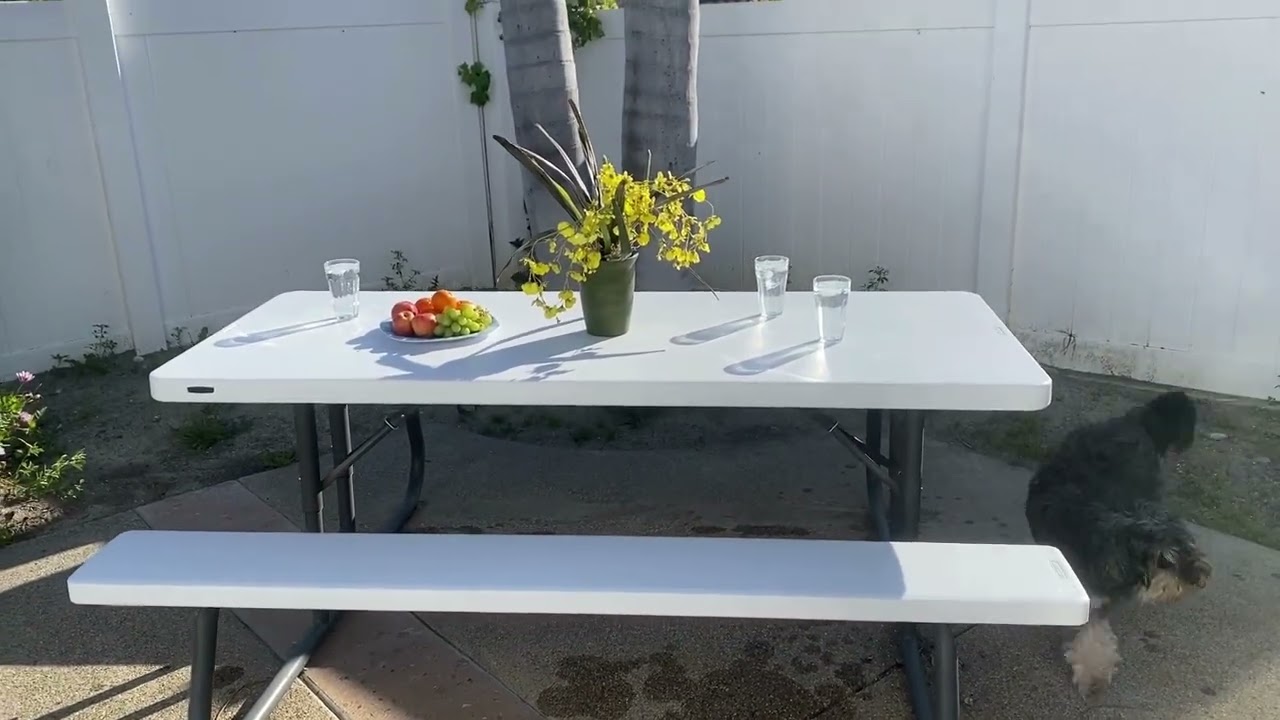 LIFETIME 6-Foot Folding Picnic Table Review — Durable Outdoor Seating for Gatherings