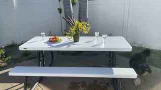 LIFETIME 6-Foot Folding Picnic Table Review — Durable Outdoor Seating for Gatherings