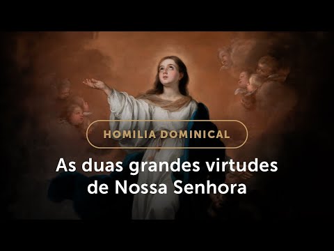 Homilia Dominical | As duas virtudes que levaram Maria à Glória do Céu (Solenidade da Assunção)