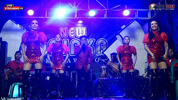 🟢All Artist || New Jajaka || Palumbonsari - Karawang