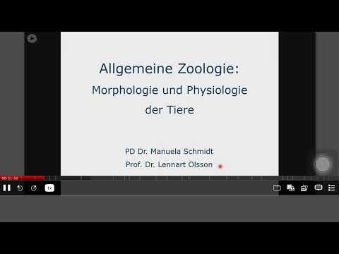 Allgemeine zoologie 11.04