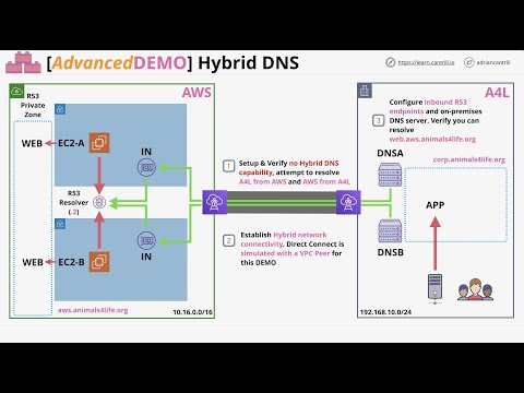 فيديو: ما هو DNS الخاص المسمى في AWS؟