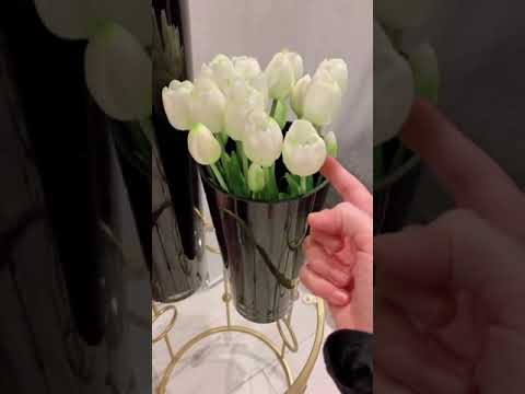 Video: 10 Dei Tulipani Bianchi Più Trendy Descrizione, Foto - Pagina 5 Di 6