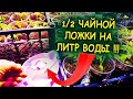 Всегда этим кормлю рассаду для толстого стебля и мощных корней! От вытягивания рассады удобрение.