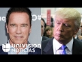 Arnold Schwarzenegger a las críticas de Trump: "¿Por qué no intercambiamos trabajos?"