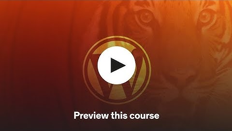 Become a WordPress Developer: Unlocking Power With Code