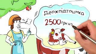 Урядова програма підтримки тваринництва: 2500 гривень для домогосподарств за утримання молодняка до 13-місячного віку (відео)