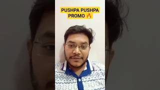 PUSHPA PUSHPA SONG PROMO REACTION | PUSHPA 2 THE RULE FIRST SINGLE PROMO REACTION REVIEW ALLU ARJUN