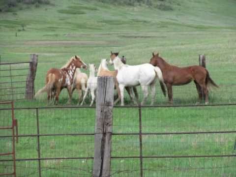 "My Home in North Dakota" by Adam Taylor