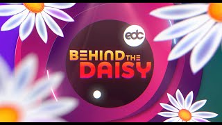 Behind the Daisy: Salvage City