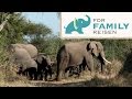 Sdafrika for family  die sdafrika familienreise von for family reisen