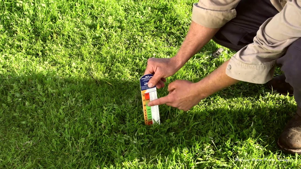 Outline Video Making More From Sheep - Simon Wheaton