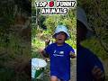 Try not to laugh challenge animals edition 😂🐾 #shorts #funny #animals