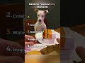 OMG #dogs #trend #ranking #attempt #funny#animals#omg