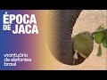 Época de Jaca!