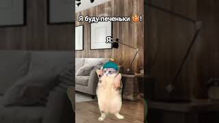 ИДЕАЛЬНО!😏❤️‍🔥#youtube #рекомендации #cat #актив #мемасики 😜🤣👌