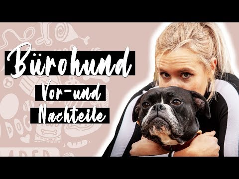 Video: Schützende Hunde, die liebevoll sind