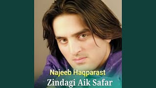 Zindagi Aik Safar