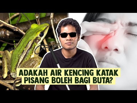 Video: Adakah air kencing terbentuk?