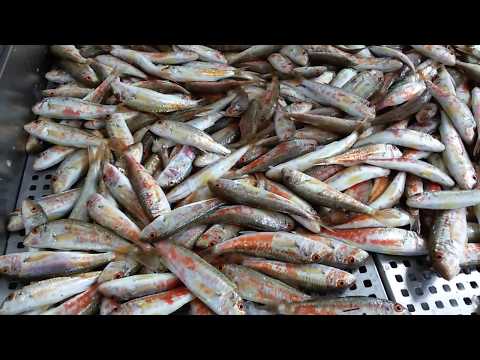 Морепродукты , Геленджик.Россия
