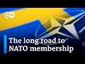 Why are Turkey and Hungary dragging their feet on Sweden’s NATO membership? | DW News