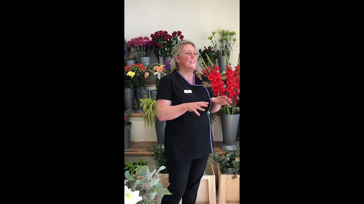 Business Spotlight - Meet Julie Nicholas of Julie ...