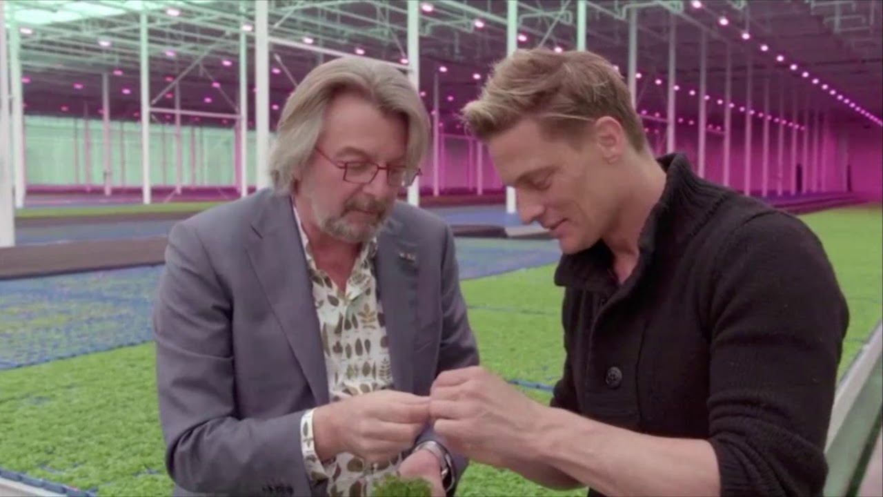 Koppert Cress X RTL4 Nederland Proeft YouTube koppert-cress-x-rtl4-nederland-proeft-youtube