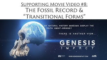 The Fossil Record and Transitional Forms
