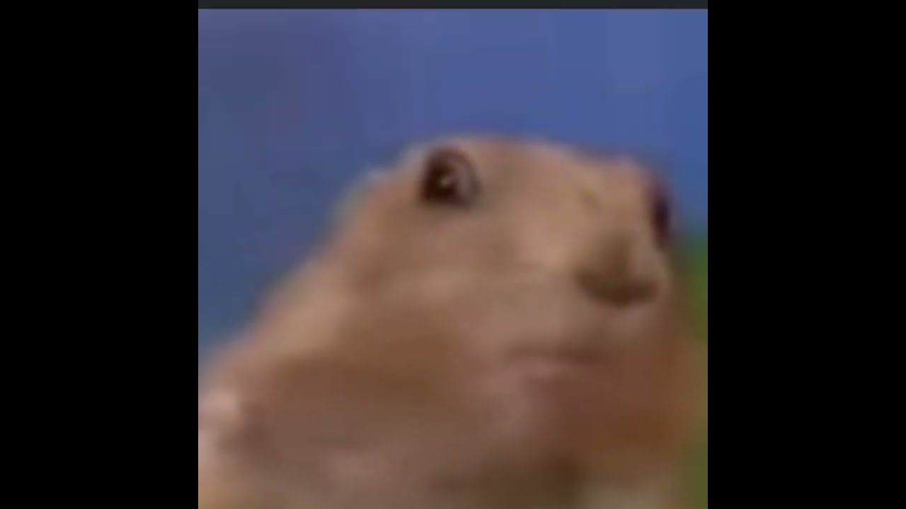 Beaver Vibes To F 777 Sonic Blaster