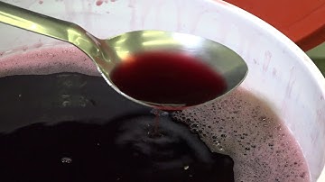 100% Fresh Varietal Wine Juice from Around the World | Preorder Now!