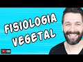 FISIOLOGIA VEGETAL - BOTÂNICA | Biologia com Samuel Cunha