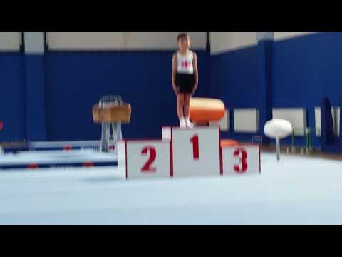 კვირიკეს დაჯილდოვება