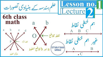 Basic Concepts in Geometry in Urdu | علم ہند سہ کے بنیادی تصورات  Lecture 2 | maths in Urdu
