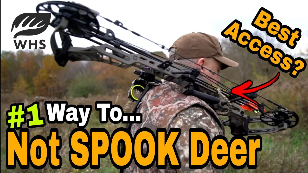 Best Way To Keep From Spooking Deer
