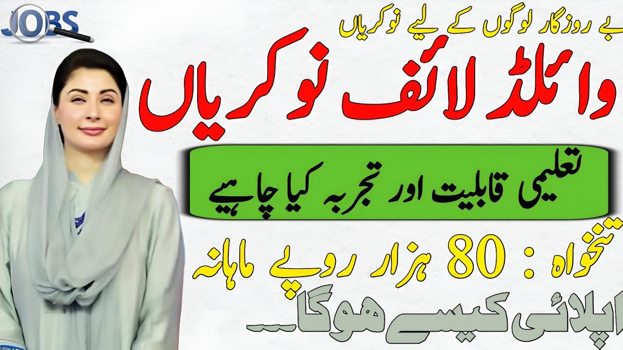Pakistan Wildlife Department Jobs 2025 - Wildlife Department New Jobs ...