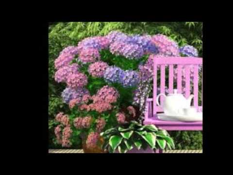 Video: Mix Fittonia (25 Fotografií): Starostlivosť O Kvetinu Doma. Vlastnosti Kvitnutia Dospelej Rastliny. Transplantačné Pravidlá