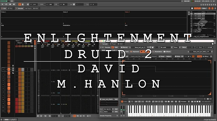 David M. Hanlon: Enlightenment Druid 2 (Cover)