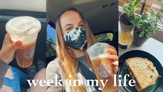 WEEK IN MY LIFE | full time college student & part time nanny