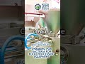BRCGS: How One Swab Can Save Your Factory - BRCGS Compliance Demo