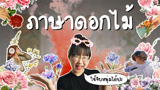 ภาษาดอกไม้มาจากไหน ใช้จีบหนุ่มได้เปล่า? | Point of View