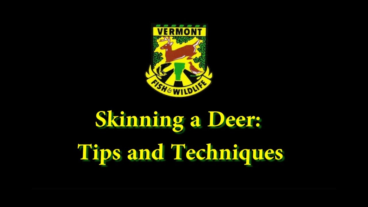 hunter email Skinning a deer: Tips and Techniques
