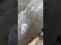Reminder to close snack bags to avoid ants
