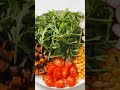 Why Fiber Boosts Health More Than Cutting Carbs #whythisfood #guthealth