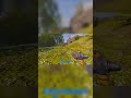 MASSIVE RAID on Fresh Wipe turns into WAR 😳 #rust #shorts #rustclips