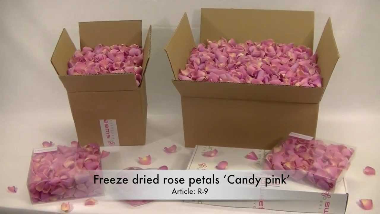 Freeze dried rose petals 'Candy pink' YouTube
