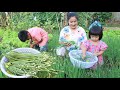 Harvest garlic flower and mustard green to make meal for dinner - Family food cooking