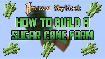 How to build a Sugar Cane Farm in Hypixel Skyblock | Hypixel Skyblock Guide